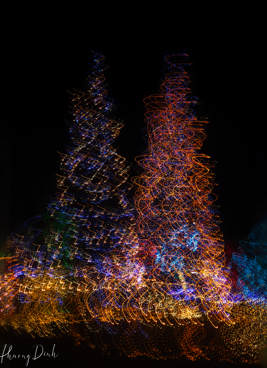 icm, intentional camera movement, movement, artwork, fine art, photography, fine art photography, art, artist, creative, creativity, creative photography, Christmas, tree, light, movement, vandusen, vandusen botanical garden, light up, illumination
