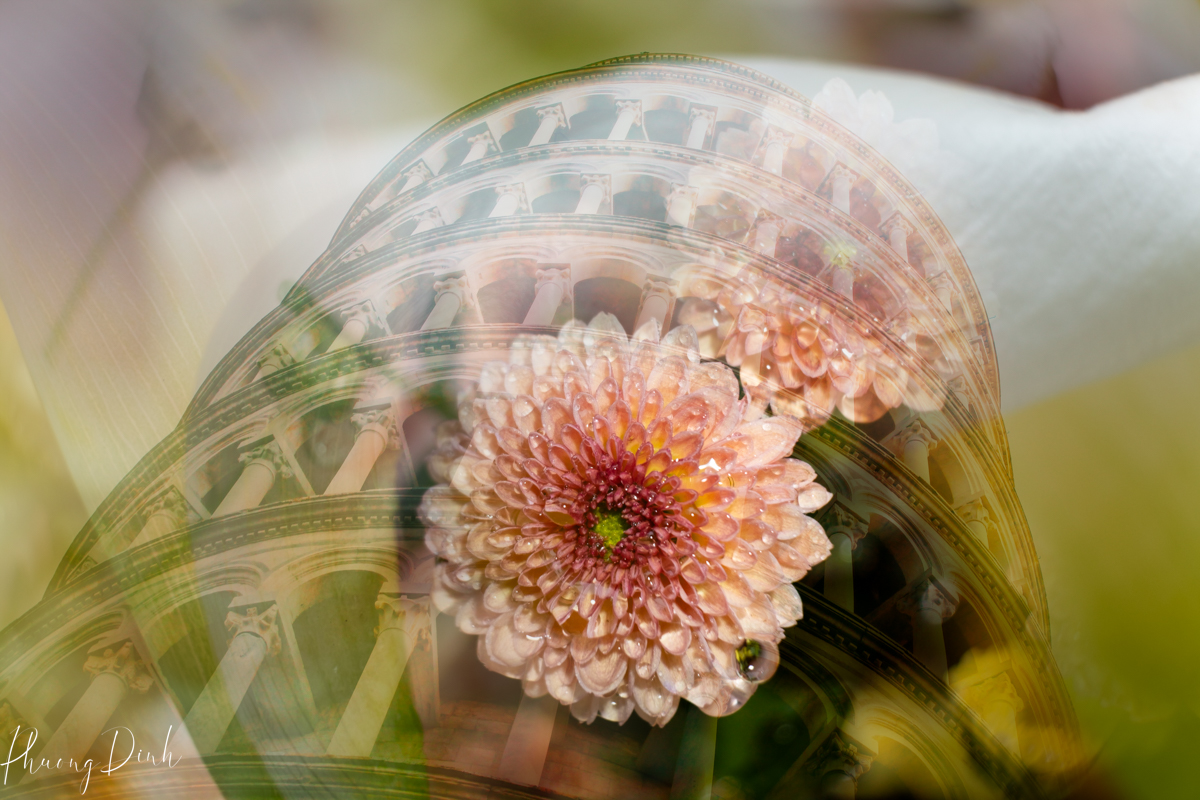 fleur de villes, fleur de ville, vandusen botanical garden, vandusen, botanical garden, vancouver, floral display, flower, floral mannequin, Italy, Pisa, Pisa tower, daisy 