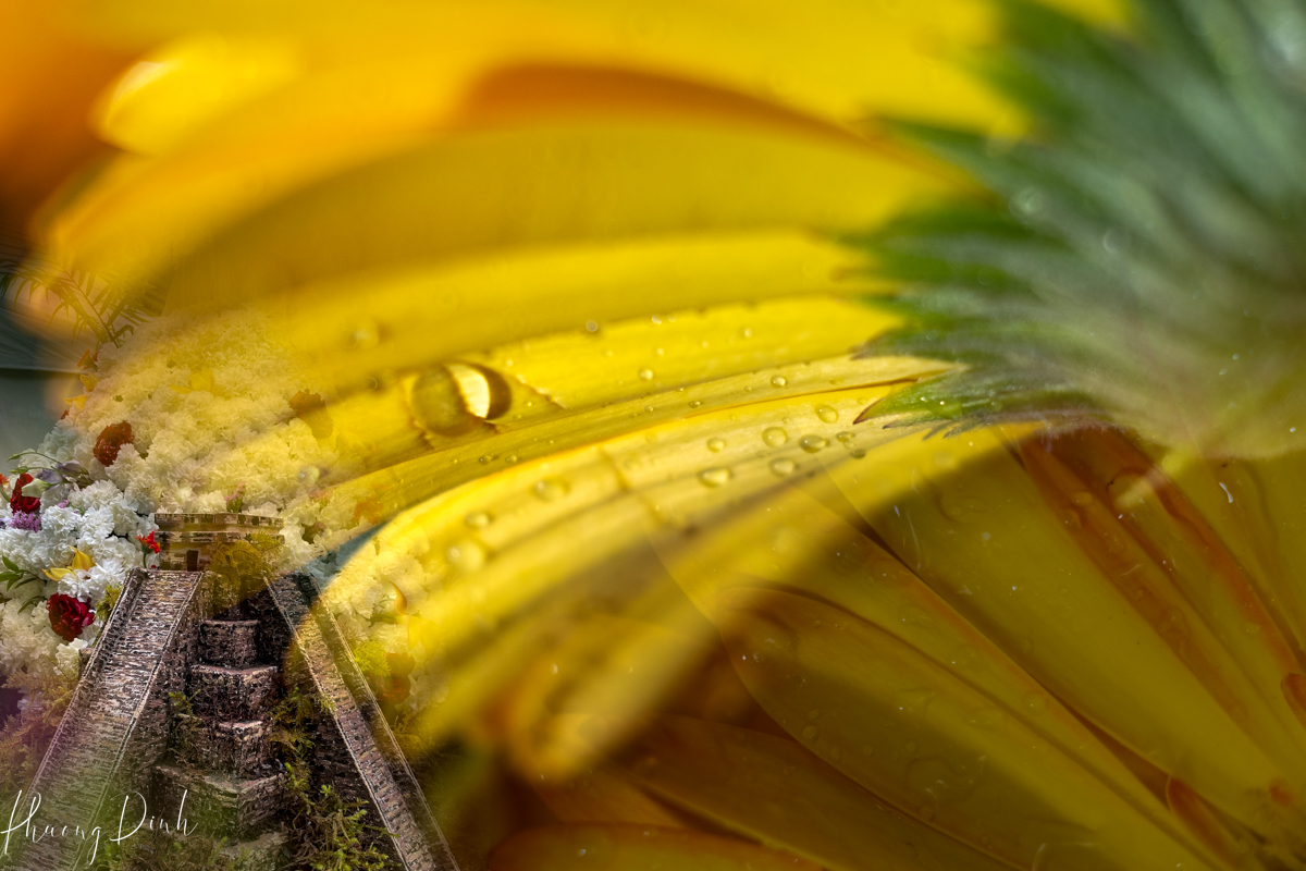 fleur de villes, fleur de ville, vandusen botanical garden, vandusen, botanical garden, vancouver, floral display, flower, floral mannequin, Mexico, pyramid, sunflower 