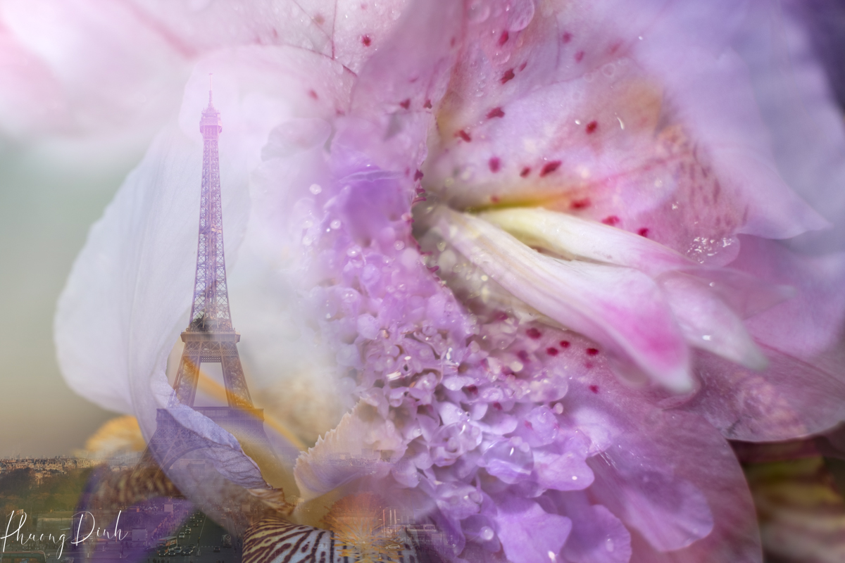 fleur de villes, fleur de ville, vandusen botanical garden, vandusen, botanical garden, vancouver, floral display, flower, floral mannequin, France, Paris, flower, lily 