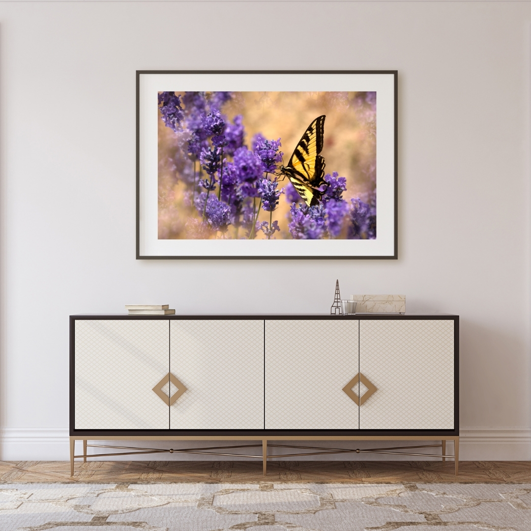 swallowtail, Butterly, spring, lavender, flower, summer